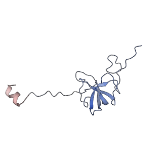 4475_6q95_q_v1-1
Structure of tmRNA SmpB bound in A site of T. thermophilus 70S ribosome
