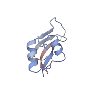 4475_6q95_u_v1-1
Structure of tmRNA SmpB bound in A site of T. thermophilus 70S ribosome