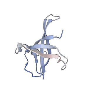 4475_6q95_v_v1-1
Structure of tmRNA SmpB bound in A site of T. thermophilus 70S ribosome
