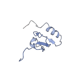 4475_6q95_x_v1-1
Structure of tmRNA SmpB bound in A site of T. thermophilus 70S ribosome