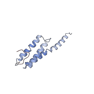4475_6q95_y_v1-1
Structure of tmRNA SmpB bound in A site of T. thermophilus 70S ribosome