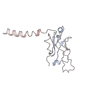 4477_6q98_5_v1-0
Structure of tmRNA SmpB bound in P site of E. coli 70S ribosome