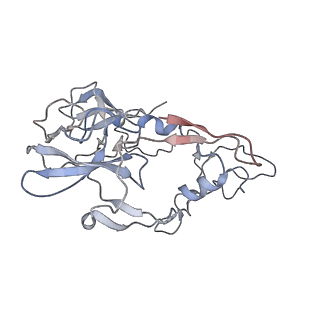4477_6q98_B_v1-0
Structure of tmRNA SmpB bound in P site of E. coli 70S ribosome