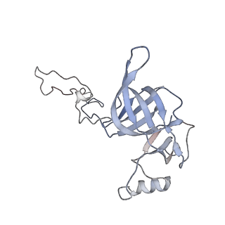 4477_6q98_C_v1-0
Structure of tmRNA SmpB bound in P site of E. coli 70S ribosome