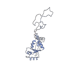 4477_6q98_D_v1-0
Structure of tmRNA SmpB bound in P site of E. coli 70S ribosome