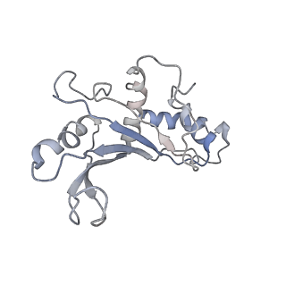 4477_6q98_E_v1-0
Structure of tmRNA SmpB bound in P site of E. coli 70S ribosome