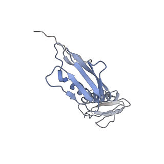 4477_6q98_F_v1-0
Structure of tmRNA SmpB bound in P site of E. coli 70S ribosome