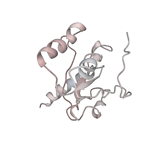 4477_6q98_H_v1-0
Structure of tmRNA SmpB bound in P site of E. coli 70S ribosome