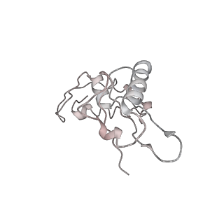 4477_6q98_I_v1-0
Structure of tmRNA SmpB bound in P site of E. coli 70S ribosome