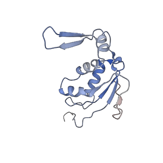 4477_6q98_J_v1-0
Structure of tmRNA SmpB bound in P site of E. coli 70S ribosome