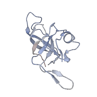 4477_6q98_K_v1-0
Structure of tmRNA SmpB bound in P site of E. coli 70S ribosome