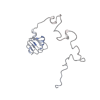 4477_6q98_L_v1-0
Structure of tmRNA SmpB bound in P site of E. coli 70S ribosome