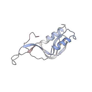 4477_6q98_M_v1-0
Structure of tmRNA SmpB bound in P site of E. coli 70S ribosome