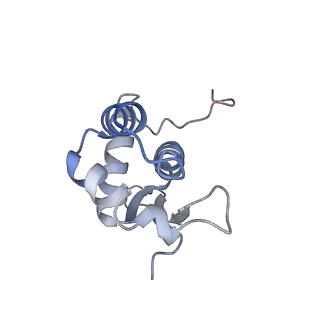 4477_6q98_N_v1-0
Structure of tmRNA SmpB bound in P site of E. coli 70S ribosome