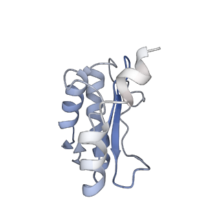 4477_6q98_O_v1-0
Structure of tmRNA SmpB bound in P site of E. coli 70S ribosome