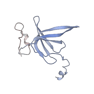 4477_6q98_P_v1-0
Structure of tmRNA SmpB bound in P site of E. coli 70S ribosome