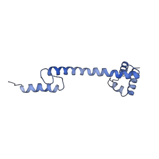 4477_6q98_Q_v1-0
Structure of tmRNA SmpB bound in P site of E. coli 70S ribosome