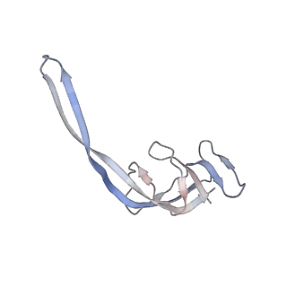4477_6q98_R_v1-0
Structure of tmRNA SmpB bound in P site of E. coli 70S ribosome