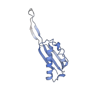 4477_6q98_S_v1-0
Structure of tmRNA SmpB bound in P site of E. coli 70S ribosome