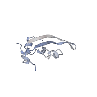 4477_6q98_T_v1-0
Structure of tmRNA SmpB bound in P site of E. coli 70S ribosome