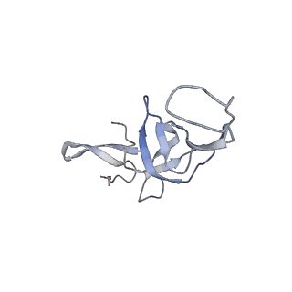 4477_6q98_U_v1-0
Structure of tmRNA SmpB bound in P site of E. coli 70S ribosome