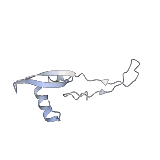 4477_6q98_X_v1-0
Structure of tmRNA SmpB bound in P site of E. coli 70S ribosome