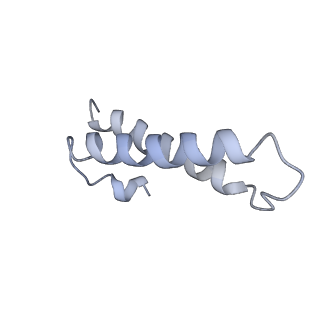 4477_6q98_Y_v1-0
Structure of tmRNA SmpB bound in P site of E. coli 70S ribosome