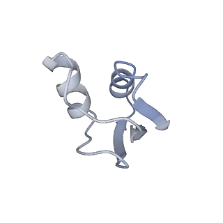 4477_6q98_Z_v1-0
Structure of tmRNA SmpB bound in P site of E. coli 70S ribosome