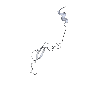 4477_6q98_a_v1-0
Structure of tmRNA SmpB bound in P site of E. coli 70S ribosome