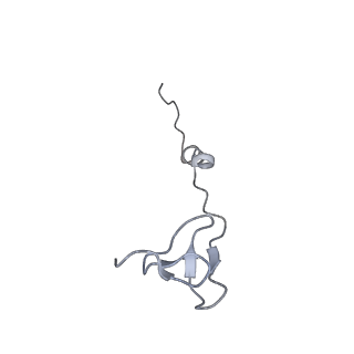 4477_6q98_b_v1-0
Structure of tmRNA SmpB bound in P site of E. coli 70S ribosome