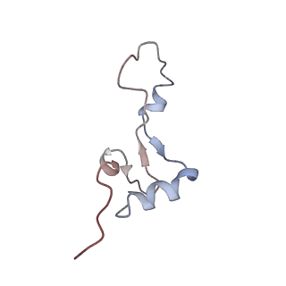 4477_6q98_e_v1-0
Structure of tmRNA SmpB bound in P site of E. coli 70S ribosome