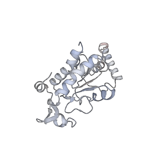 4477_6q98_g_v1-0
Structure of tmRNA SmpB bound in P site of E. coli 70S ribosome