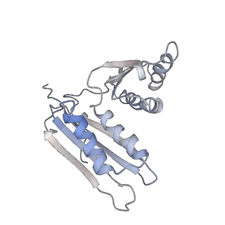 4477_6q98_h_v1-0
Structure of tmRNA SmpB bound in P site of E. coli 70S ribosome