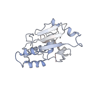4477_6q98_i_v1-0
Structure of tmRNA SmpB bound in P site of E. coli 70S ribosome