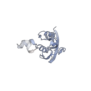 4477_6q98_j_v1-0
Structure of tmRNA SmpB bound in P site of E. coli 70S ribosome