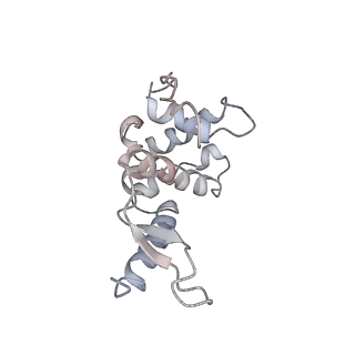 4477_6q98_l_v1-0
Structure of tmRNA SmpB bound in P site of E. coli 70S ribosome