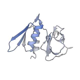 4477_6q98_m_v1-0
Structure of tmRNA SmpB bound in P site of E. coli 70S ribosome