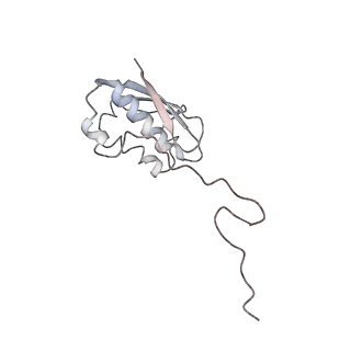 4477_6q98_n_v1-0
Structure of tmRNA SmpB bound in P site of E. coli 70S ribosome