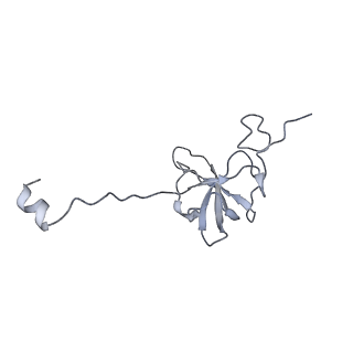 4477_6q98_q_v1-0
Structure of tmRNA SmpB bound in P site of E. coli 70S ribosome