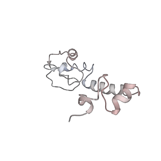 4477_6q98_r_v1-0
Structure of tmRNA SmpB bound in P site of E. coli 70S ribosome