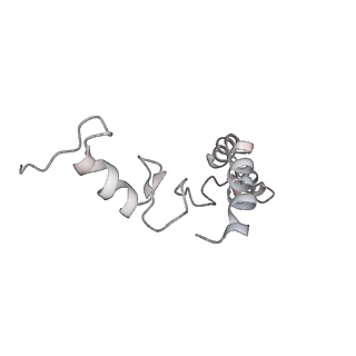 4477_6q98_s_v1-0
Structure of tmRNA SmpB bound in P site of E. coli 70S ribosome