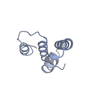 4477_6q98_t_v1-0
Structure of tmRNA SmpB bound in P site of E. coli 70S ribosome