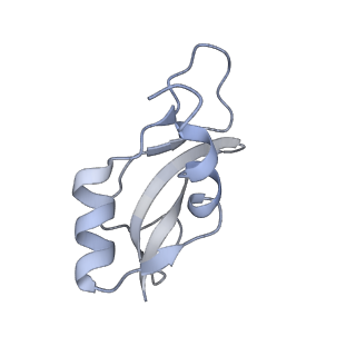 4477_6q98_u_v1-0
Structure of tmRNA SmpB bound in P site of E. coli 70S ribosome