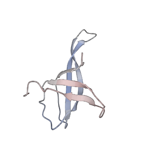 4477_6q98_v_v1-0
Structure of tmRNA SmpB bound in P site of E. coli 70S ribosome