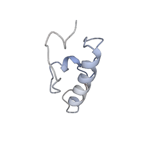 4477_6q98_w_v1-0
Structure of tmRNA SmpB bound in P site of E. coli 70S ribosome