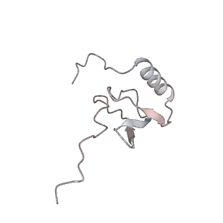 4477_6q98_x_v1-0
Structure of tmRNA SmpB bound in P site of E. coli 70S ribosome