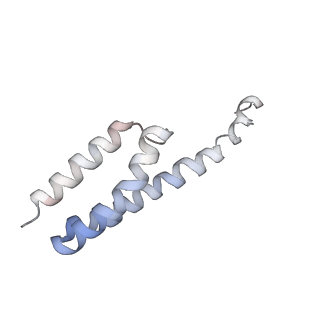 4477_6q98_y_v1-0
Structure of tmRNA SmpB bound in P site of E. coli 70S ribosome