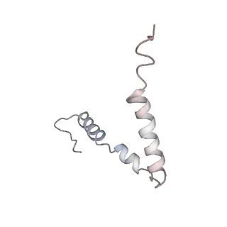4477_6q98_z_v1-0
Structure of tmRNA SmpB bound in P site of E. coli 70S ribosome
