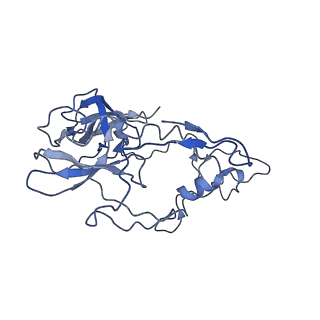 4478_6q9a_B_v1-0
Structure of tmRNA SmpB bound past E site of E. coli 70S ribosome