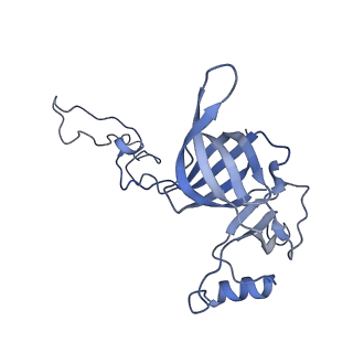 4478_6q9a_C_v1-0
Structure of tmRNA SmpB bound past E site of E. coli 70S ribosome